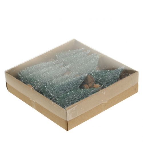 Floristik24 Abete argento 8 cm 24 pz