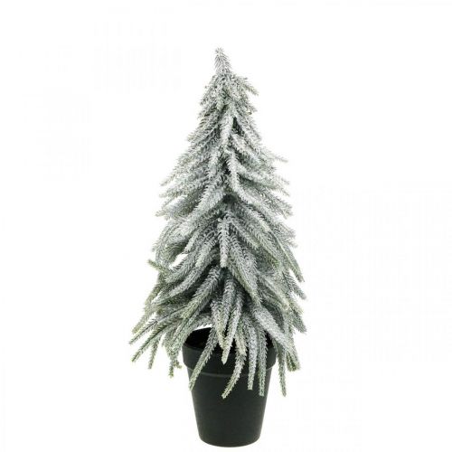 Floristik24 Abete decorativo con neve, decorazione dell'avvento, abete in vaso H37cm