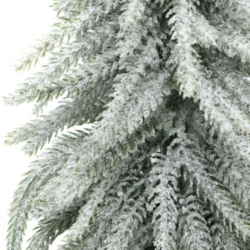 Floristik24 Abete decorativo con neve, decorazione dell&#39;avvento, abete in vaso H37cm