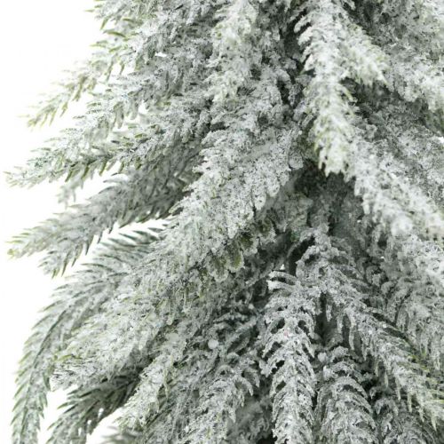Floristik24 Abete decorativo con neve, decorazione dell'avvento, abete in vaso H37cm