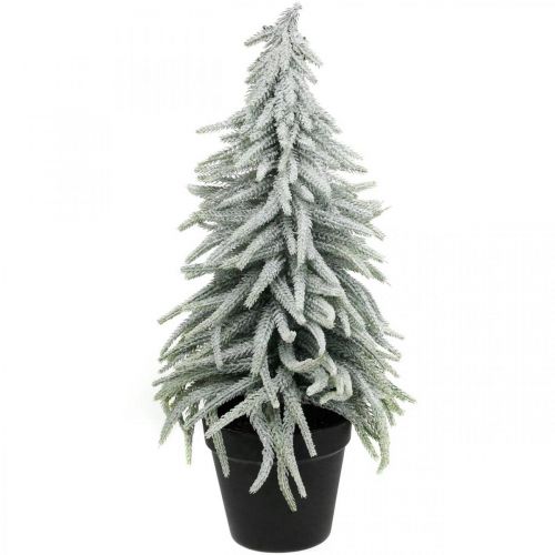 Abete invernale in vaso, addobbo natalizio, abete con neve H45cm