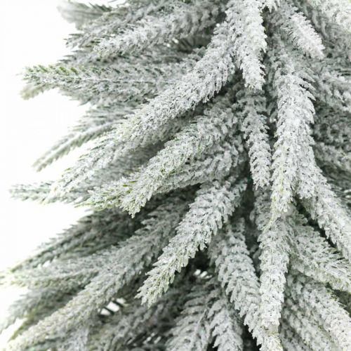Floristik24 Abete invernale in vaso, addobbo natalizio, abete con neve H45cm