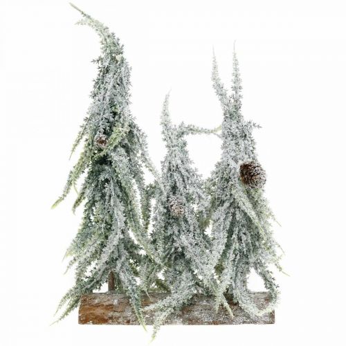 Floristik24 Abeti con neve, decorazione dell&#39;Avvento, foresta d&#39;inverno L16,5 cm H28 cm