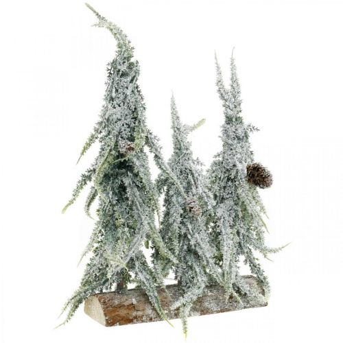 Floristik24 Abeti con neve, decorazione dell&#39;Avvento, foresta d&#39;inverno L16,5 cm H28 cm