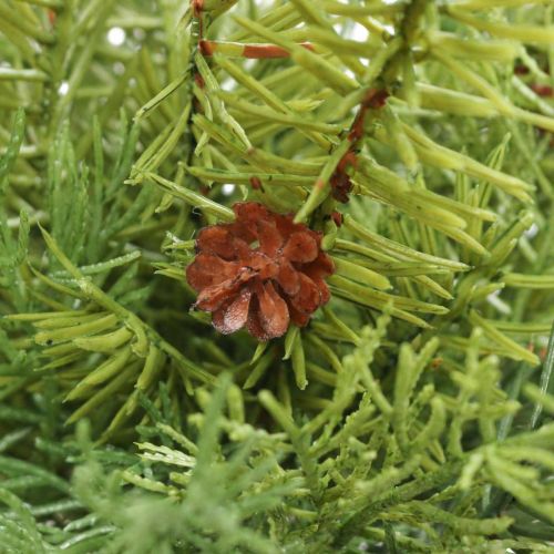 Floristik24 Rami decorativi Rami natalizi Rami di abete artificiale H31cm