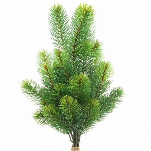 Floristik24 Rami di abete verde 43/54 cm 6 pz