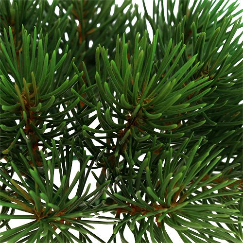 Floristik24 Ghirlanda di abete Ø15cm 1pz