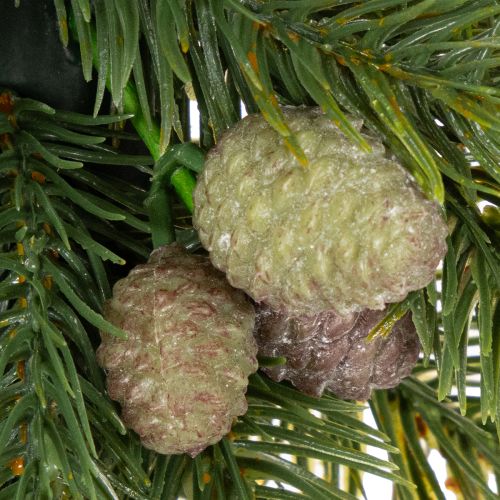 Ghirlanda artificiale di rami di abete con pigne per porta o tavolo, 30 cm | Floristik24.it