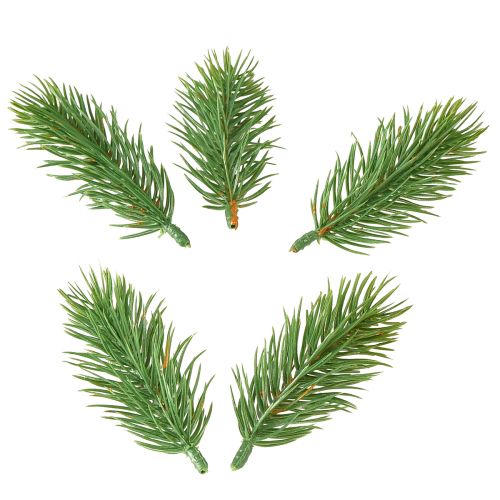 Floristik24 Punte di pino verde 10 cm 36 pezzi