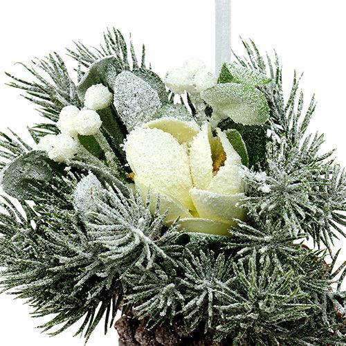 Floristik24 Pigne con decoro da appendere bianche 25cm - 30cm
