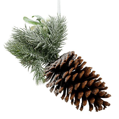 Floristik24 Pigne con decoro da appendere bianche 25cm - 30cm