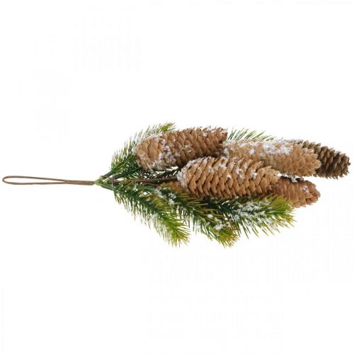 Floristik24 Verde abete con pigne, decoro invernale, ramo di abete da appendere, decoro cono innevato L33cm