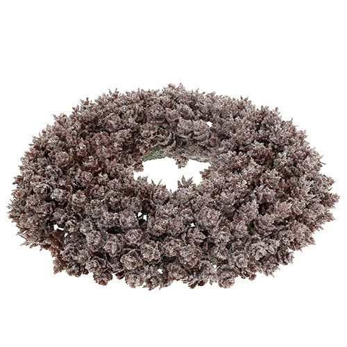 Floristik24 Ghirlanda di pigne Ø25cm con glitter