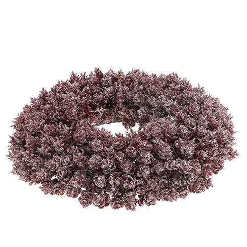 Floristik24 Corona di pigna Ø25cm Ghiacciata bordeaux