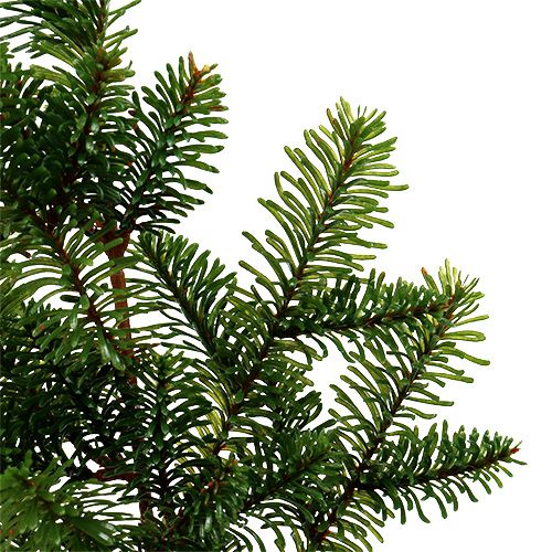 Floristik24 Ramo di abete verde artificiale L66cm