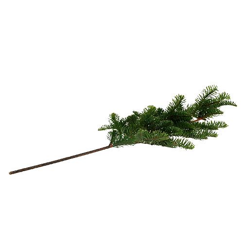 Floristik24 Ramo di abete verde artificiale L66cm