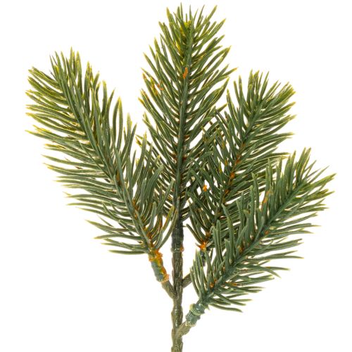Rami artificiali di abete verde per decorazioni invernali, 25 cm, 24 pezzi acquistare | Floristik24.it
