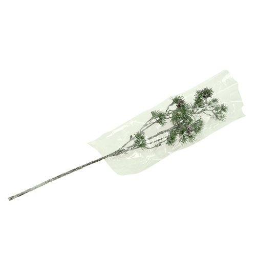 Floristik24 Ramo di abete sbiancato verde 46cm