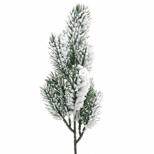 Floristik24 Ramo di abete verde ricoperto di neve 39 cm 8 pz
