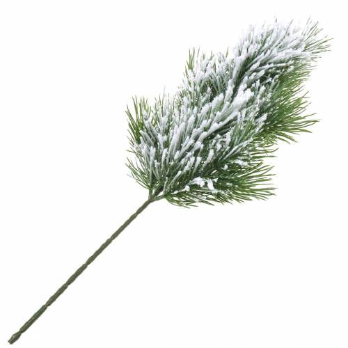 Floristik24 Ramo di pino verde innevato 50cm
