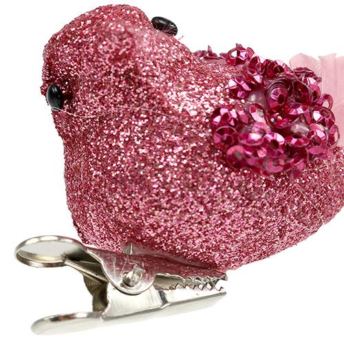 Floristik24 Piccione sulla clip ordinato a colori. 15 cm 8 pezzi