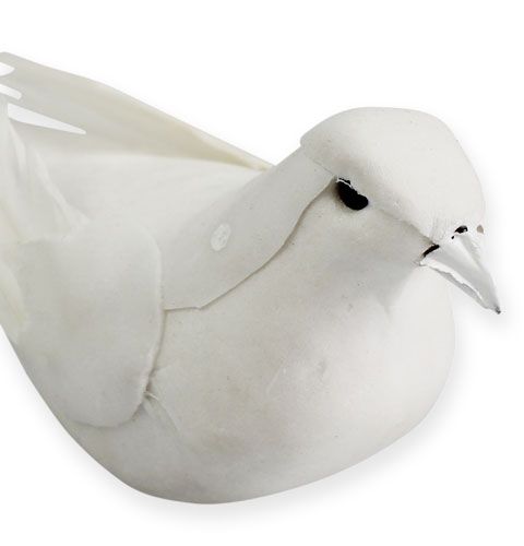 Floristik24 Deco colombe su filo bianco 16cm 4pz
