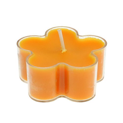 Floristik24 Tealight come un fiore con profumo 4,5x2cm 6 pezzi