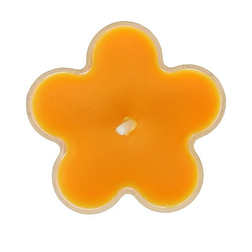 Floristik24 Tealight come un fiore con profumo 4,5x2cm 6 pezzi