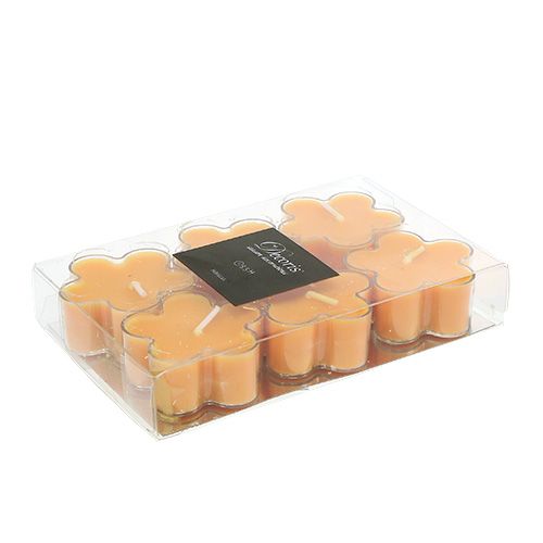 Floristik24 Tealight come un fiore con profumo 4,5x2cm 6 pezzi