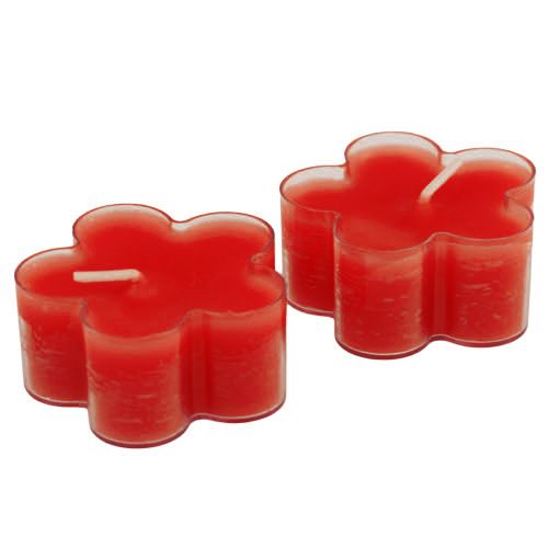 Floristik24 Blossom Rubino Chiaro 12pz