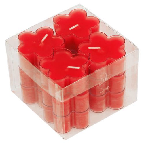 Floristik24 Blossom Rubino Chiaro 12pz