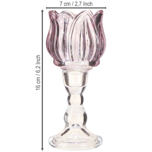Prodotto Portacandele in vetro a forma di tulipano in vetro viola Ø7cm H16cm 2pz
