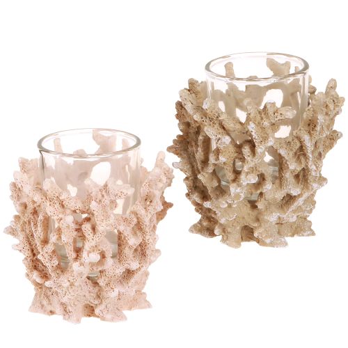 Prodotto Portacandela decorazione corallo crema marittima marrone H9cm 2 pezzi