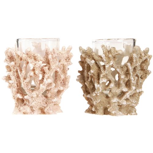 Prodotto Portacandela decorazione corallo crema marittima marrone H9cm 2 pezzi