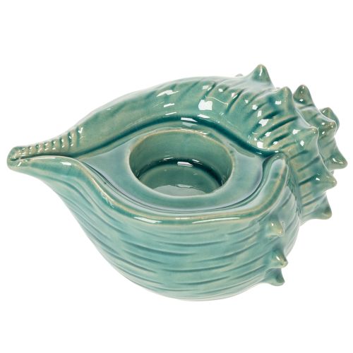 Floristik24 Portacandele decorativo a forma di conchiglia, da tavolo, per bagno, soggiorno, 16 cm