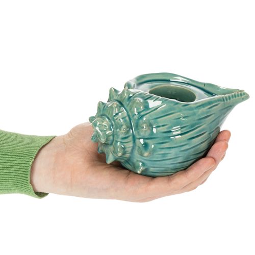 Prodotto Portacandele decorativo a forma di conchiglia, da tavolo, per bagno, soggiorno, 16 cm