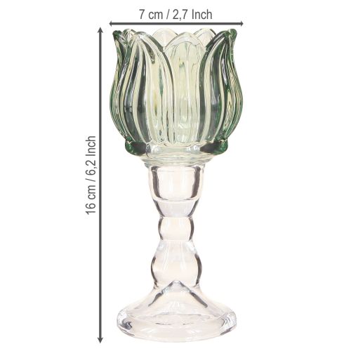 Prodotto Portacandela in vetro tulipano portacandela in vetro verde Ø7cm H16cm 2pz