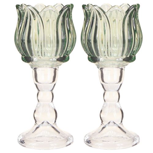 Prodotto Portacandela in vetro tulipano portacandela in vetro verde Ø7cm H16cm 2pz