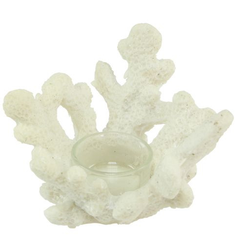 Portacandela corallo decorativo crema marittimo Ø12cm H8cm