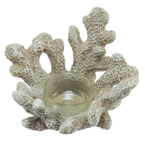 Floristik24 Portacandela decoro corallo grigio marittimo Ø12cm H8cm