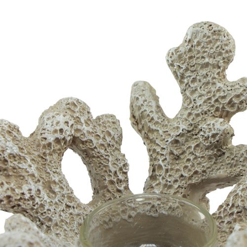 Prodotto Portacandela decoro corallo grigio marittimo Ø12cm H8cm