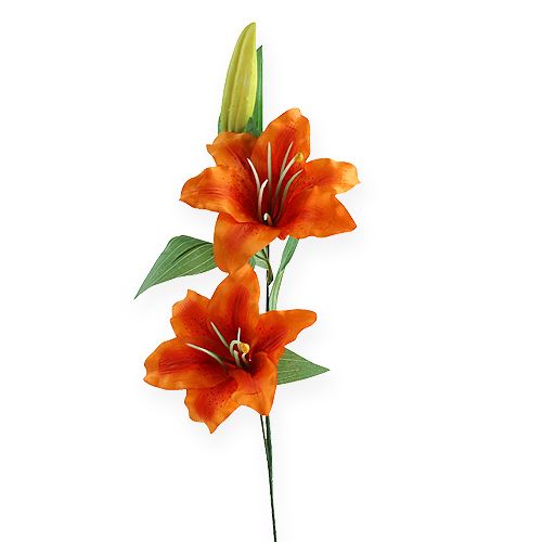 Giglio di tigre Arancio 47cm