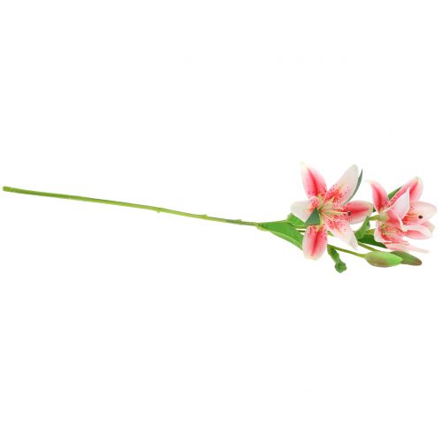 Floristik24 Giglio di tigre rosa, bianco 60 cm
