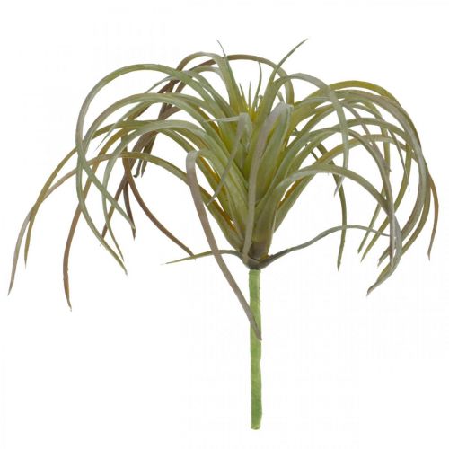 Floristik24 Tillandsia artificiale da attaccare pianta artificiale verde-viola 13cm