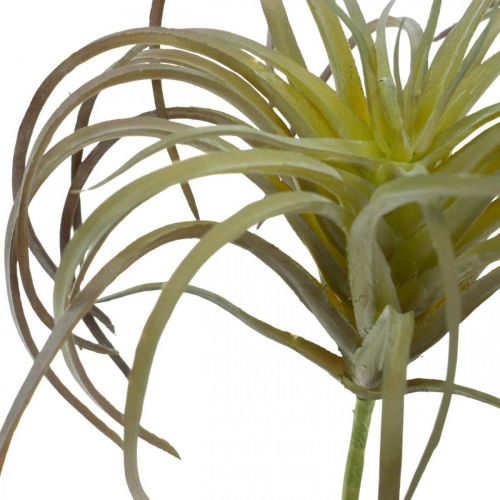 Floristik24 Tillandsia artificiale da attaccare pianta artificiale verde-viola 13cm
