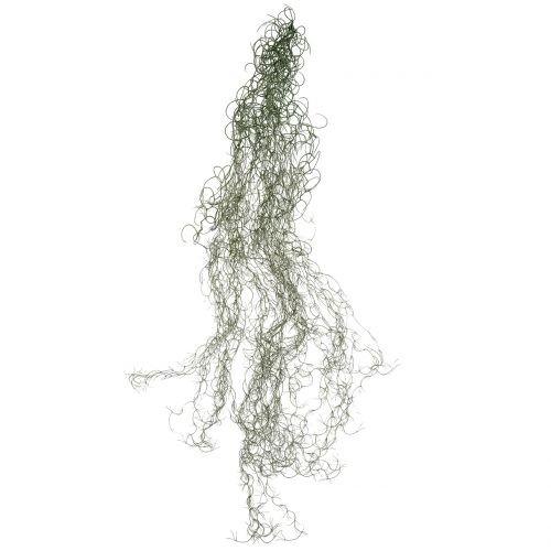 Floristik24 Tillandsia artificiale grigio 130 cm