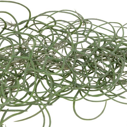 Floristik24 Tillandsia artificiale grigio 130 cm