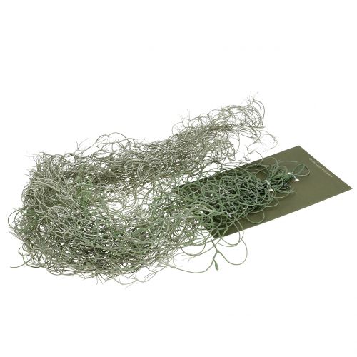 Floristik24 Tillandsia artificiale grigio 130 cm