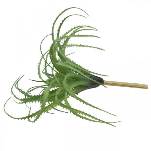 Floristik24 Aloe artificiale verde pianta artificiale per attaccare pianta verde 38Øcm