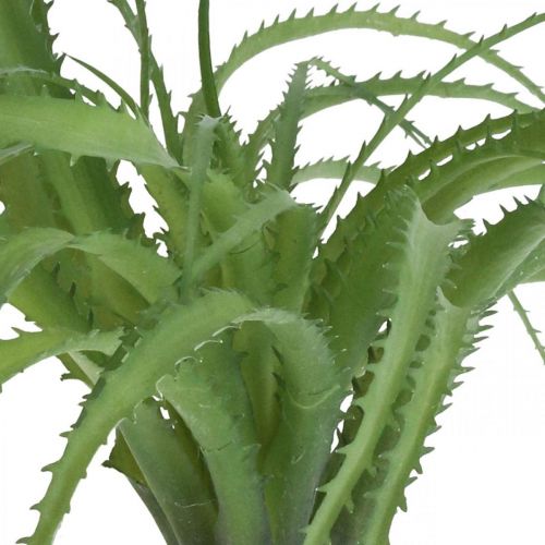 Floristik24 Aloe artificiale verde pianta artificiale per attaccare pianta verde 38Øcm